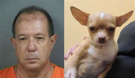 61-year-old Florida man arrested after posing as a veterinarian and operating on a pregnant dog that later died, sheriff’s office says