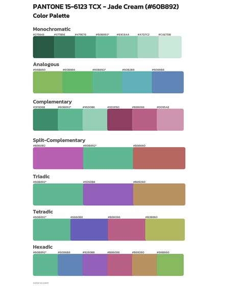 6123 Halı ve Koltuk Yıkama