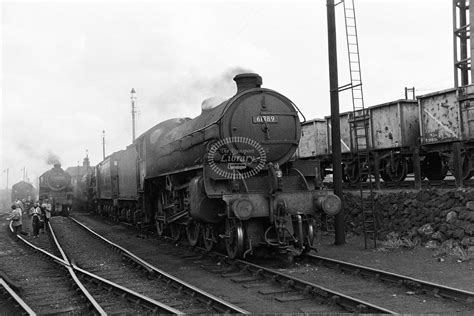 61389 Halı ve Koltuk Yıkama