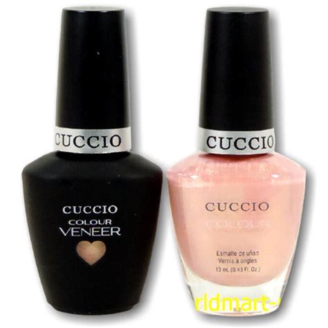 6191 Halı ve Koltuk Yıkama