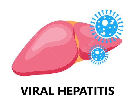 620 Viral Hepatitis Clip Art Royalty Free - GoGraph