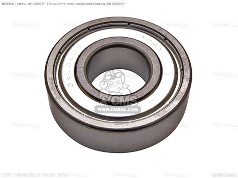 62037 Halı ve Koltuk Yıkama