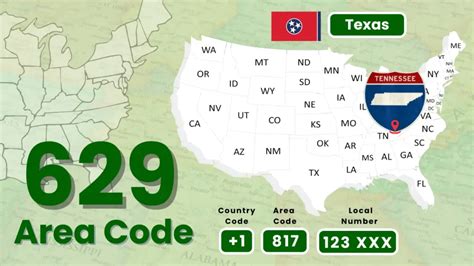 629 Halı ve Koltuk Yıkama