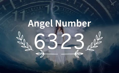 6323 Halı ve Koltuk Yıkama