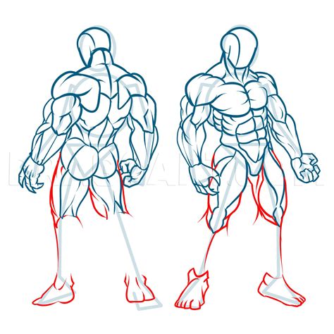 64 Anatomical drawing Muscles ideas how to draw muscles