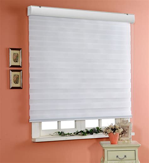 Allbright Zebra Window Blinds 54" W × 64" H Grey, Dual Layer Roller Shade, Room Darkening Shade Roll Up and Pull Down Blinds, Light Filtering Window Shades for Day and Night, Easy to Install ... & Blackout Roller Shade, Room Darkening Rolled Up Shade, Fabric Window Blind, for Light Blocking or Sun Protection, 54 inches Wide, Gray ….