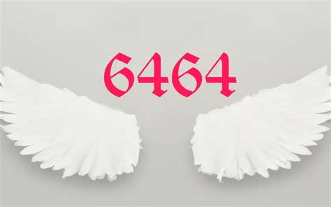 6464 Angel Number