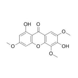 65008 Halı ve Koltuk Yıkama