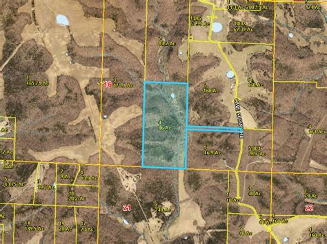 65046 Halı ve Koltuk Yıkama