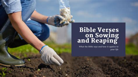 66 Bible verses about Sowing And Reaping