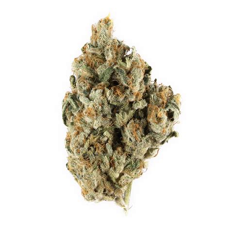 If you have a sweet tooth, the Monster Cookies strain may be the perfect bud for you. Its spicy, fruity scent almost has an incense-like fragrance while the Monster Cookies strain bud has a fruity, sweet taste with vanilla undertones. The Monster Cookies strain also produces a smooth-tasting smoke, making it perfect for beginner cannabis users..
