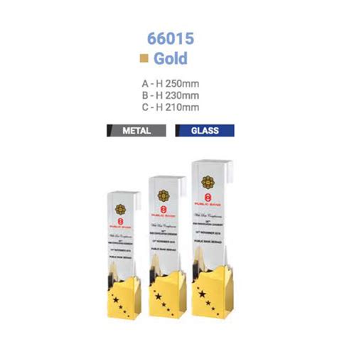 66015 Halı ve Koltuk Yıkama