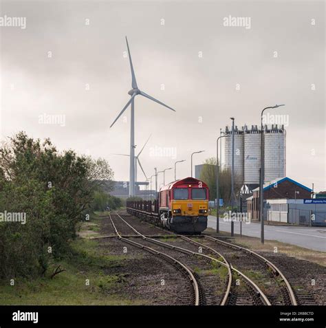 66041 Halı ve Koltuk Yıkama