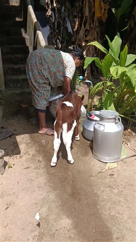 💦 663Mini Onlyfans Leak (SEX) 206 Pics