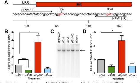 6672 - Gene ResultSP100 SP100 nuclear antigen [ (human)]