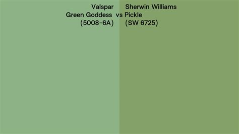 6725 Halı ve Koltuk Yıkama