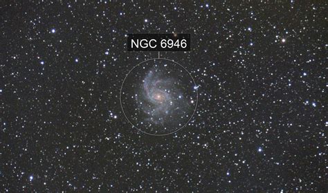 6946 Halı ve Koltuk Yıkama