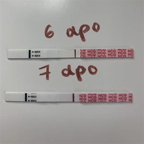 6DPO Easy Home test