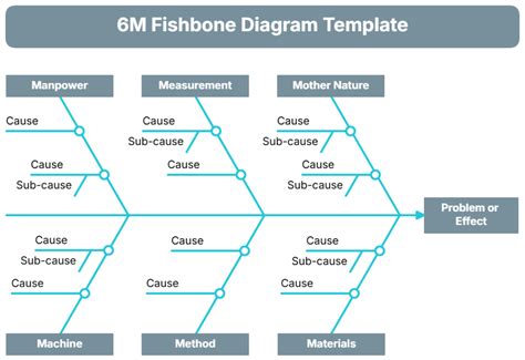 6M Fishbone
