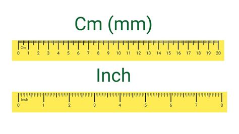 6cm To Mm