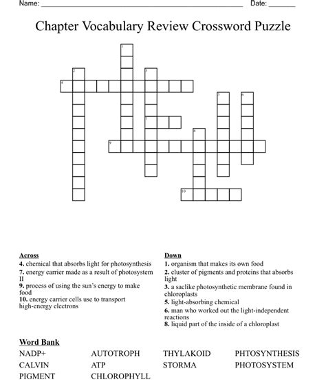 Read 6F Vocabulary Review Puzzle Answers 