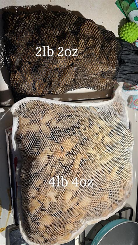 6lbs To Oz