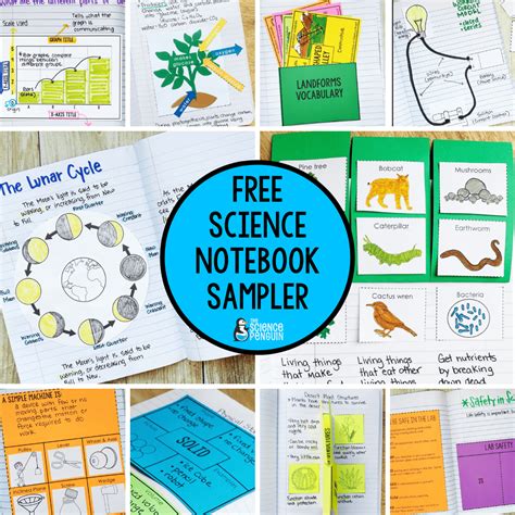 6th Grade Interactive Science Notebook Tpt 6th Grade Interactive Science Book - 6th Grade Interactive Science Book