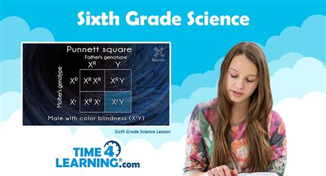 6th Grade Science Curriculum Biology Time4learning Sixth Grade Science Topics - Sixth Grade Science Topics