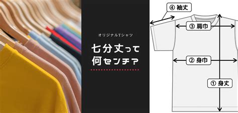 7分袖の長さは？