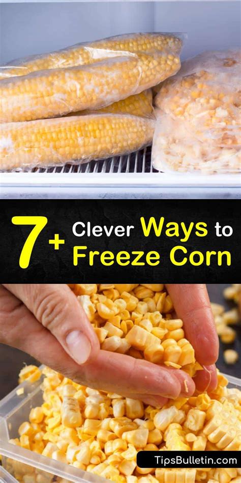 7+ Clever Ways to Freeze Corn - Tips Bulletin