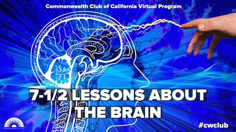 7 1 2 Lessons About The Brain