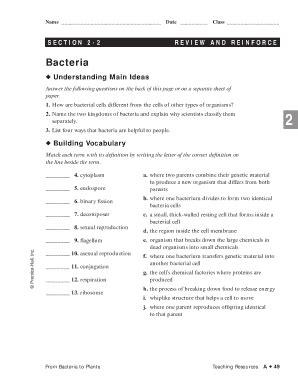 7 2 Review And Reinforce Bacteria Flashcards Quizlet Bacteria Worksheet Answers - Bacteria Worksheet Answers