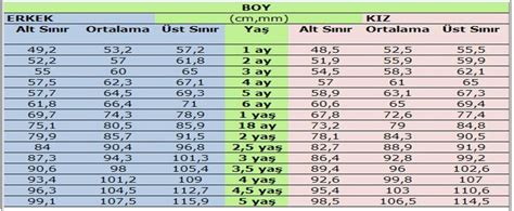 7 Aylık Bebek Boy Ve Kilo Çocuklu Dünya .