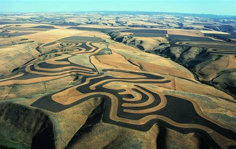 7 Benefits of Contour Farming for Soil Health That … - raincitystudios.com