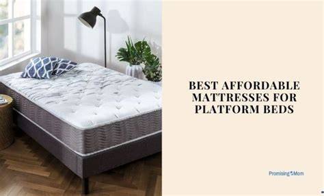 7 Best Foam Mattresses of 2026, Tested by Our Experts - raincitystudios.com