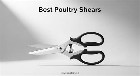 7 Best Poultry Shears of 2026 - Reviewed - raincitystudios.com