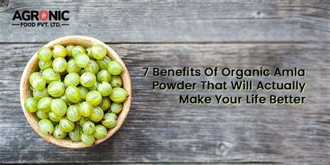 7 Benefits Of Organic Amla Powder - Agronic Food Blog