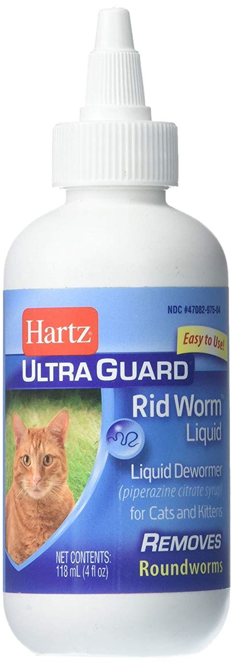 7 Best Dewormers for Cats [Kill Tapeworms, Roundworms …