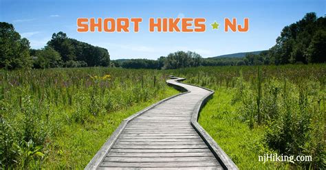 7 Best Hikes In New Jersey Along The Beach - OnlyInYourState