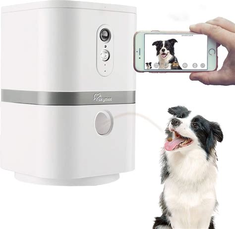 7 Best Pet Cameras of 2024, Tested & Reviewed - Good Housekeeping