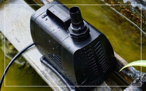 7 Best Submersible Pumps for Outdoor Ponds (Updated 2024)