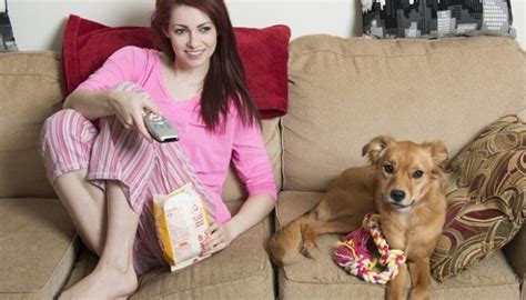 7 Best TV Shows About Dogs Available for Streaming