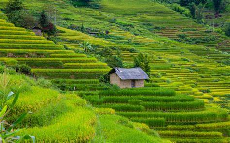 7 Cara Mencegah Erosi Pada Lahan Miring Dalam … - raincitystudios.com