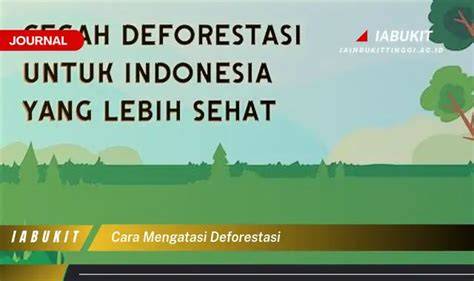 7 Cara Mengatasi Deforestasi yang Perlu diketahui - Haloedukasi - raincitystudios.com