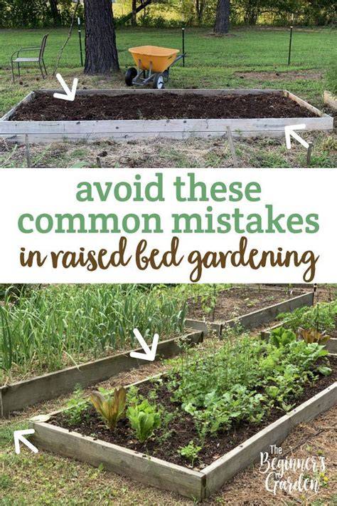 7 Common Mistakes in Raised Bed Gardening - The … - raincitystudios.com