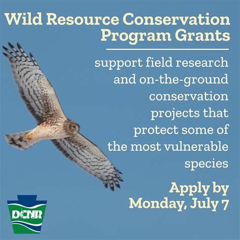 7 conservation projects win grants for … - raincitystudios.com