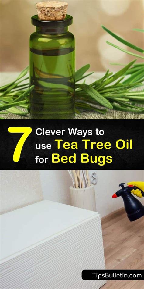 7 Clever Ways to use Tea Tree Oil for Bed Bugs