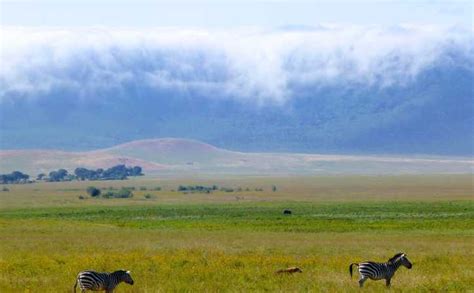 7 Days - Tour to Arusha NP, Tarangire, Manyara, Serengeti (2 …