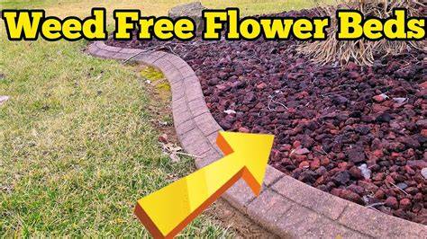 7 Easy Ways to Keep Grass Out of Your Flowerbeds - raincitystudios.com