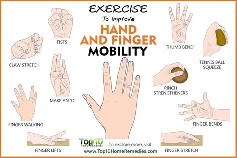 7 Easy Hand Exercises to Prevent Arthritis
